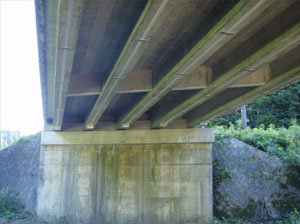 ���m�Ћ� �⋭���